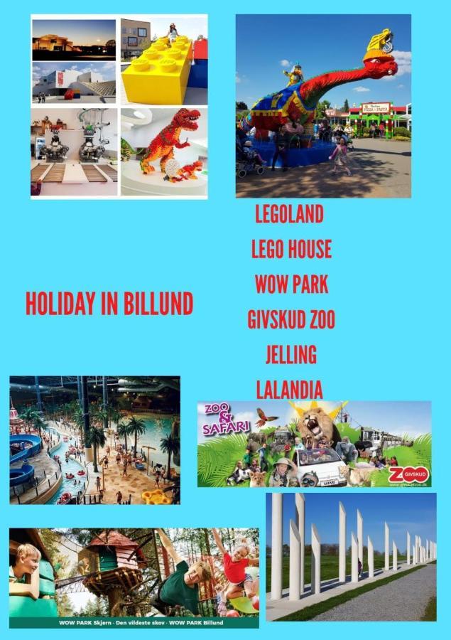 Hostel 5 Minutes Walk To Lego House - N18 *